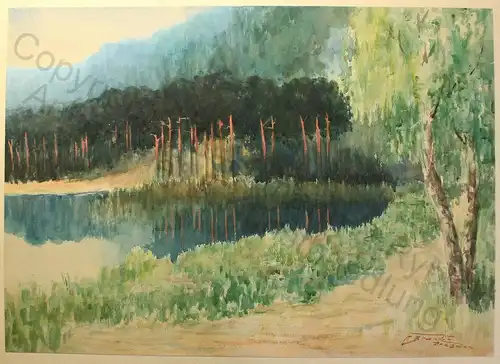 Ferdinand Brandt (geb. 1861) Aquarell Waldsee um 1900 Kunst Maler Dresden xz