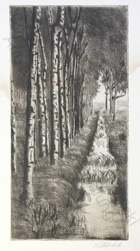 Orig. Radierung Herbst um 1950 Birkenwald mit Bachlauf aus der Galerie Joh. Kühl