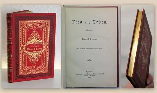 Sturm Lied und Leben Gedichte 1889 Werke Lyrik goldgeprägter Leinen Goldschnitt