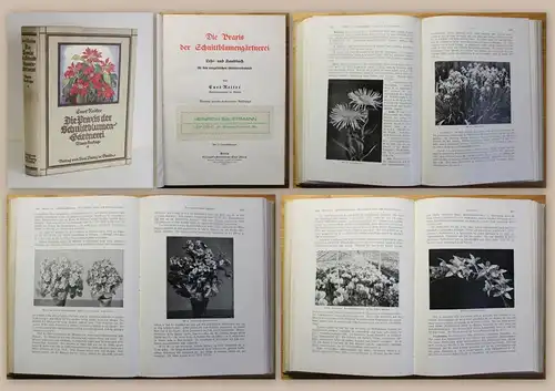 Reiter Die Praxis der Schnittblumengärtnerei 1928 Gartenbau Botanik Blumenkunde