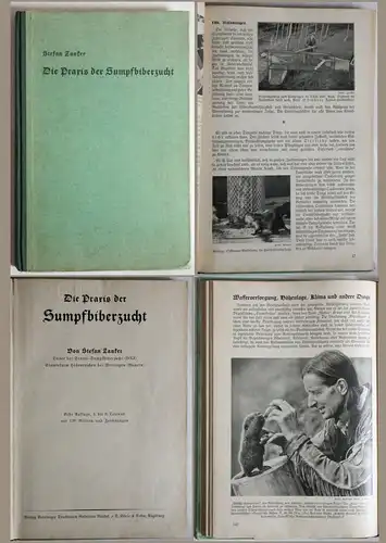 Zanker - Die Praxis der Sumpfbiberzucht - um 1940 - Tierzucht, Illustriert - xz