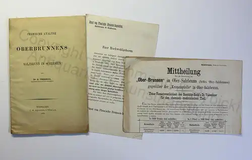 Fresenius Chemische Analyse des Oberbrunnens zu Salzbrunn Schlesien Polen 1882