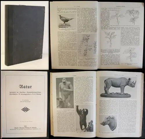 Thesig - Natur- Zeitschrift der Dt. Naturwissenschaftlichen Gesellschaft 1912 xz