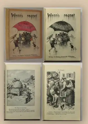 Wenn's regnet in der Sommerfrische 1920 Belletristik Unterhaltungsliteratur xy