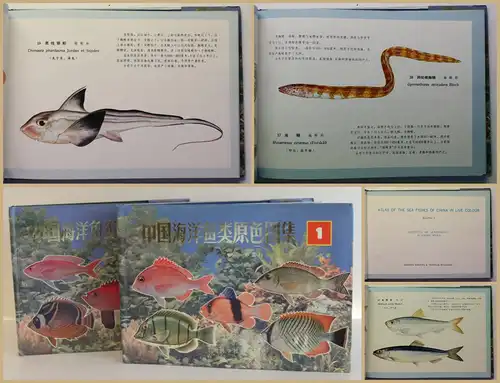 Atlas of the sea fishes of China in live colour. Vols. 1-2 1991 Ichtyologie xy