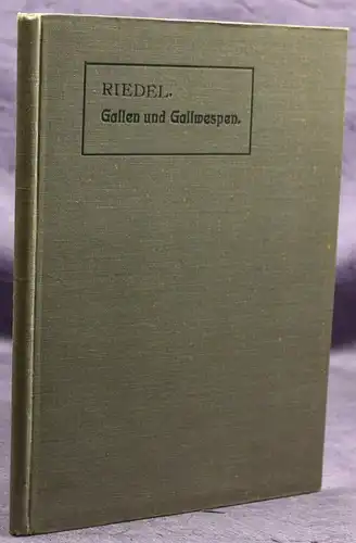 Riedel Gallen und Gallwespen 1910 Naturgeschichte Wespen Tiere Wissen sf