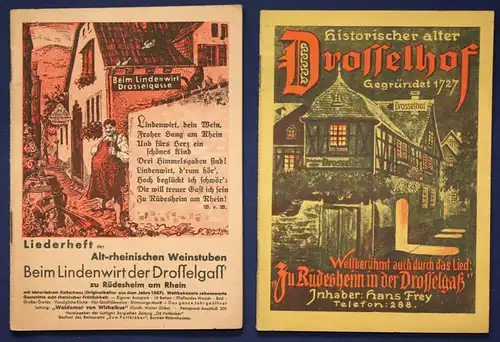 2 Original Prospekte über den Drosselhof um 1927 Hessen Ortskunde Geschichte sf