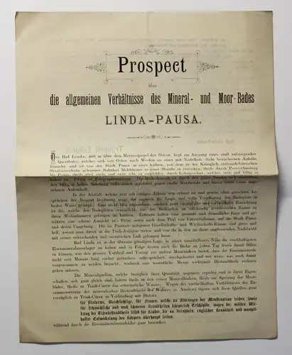 Original Prospekt Mineral- und Moorbad Linda Pausa um 1885 Sachsen Vogtland xz