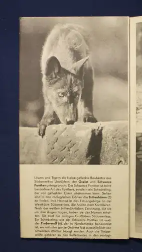 Original Prospekt Dresdner Zoo 1964 Plan mit Beschreibung Tiere Zoologie js