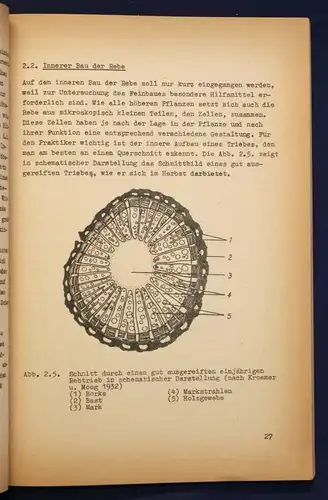 Federowski uw. Technologie der Wein- & Sektherstellung 4 Bde 1965 sehr selten sf