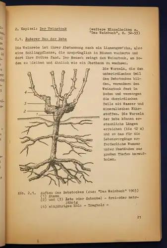 Federowski uw. Technologie der Wein- & Sektherstellung 4 Bde 1965 sehr selten sf