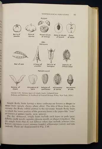 Janick Horticultural Science 1963 Natur Wissen Botanik Gartenbau Pflanzen sf