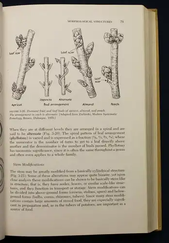 Janick Horticultural Science 1963 Natur Wissen Botanik Gartenbau Pflanzen sf