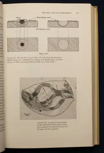 Janick Horticultural Science 1963 Natur Wissen Botanik Gartenbau Pflanzen sf