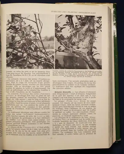 Coutanceau Encyclopedie des Jardins 1957 Natur Wissen Botanik Garten Pflanzen sf