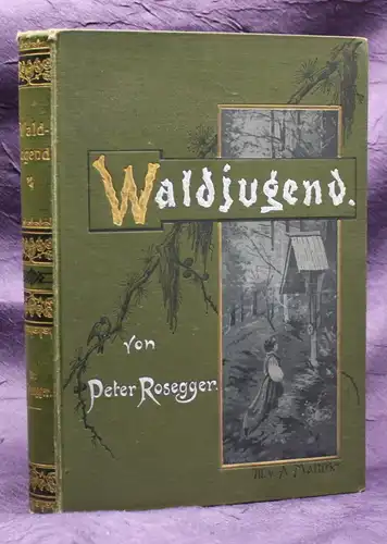 Rosegger Waldjugend Geschichten für junge Leute von 15 bis 70 Jahren 1898 EA js