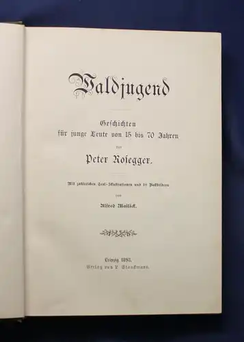 Rosegger Waldjugend Geschichten für junge Leute von 15 bis 70 Jahren 1898 EA js