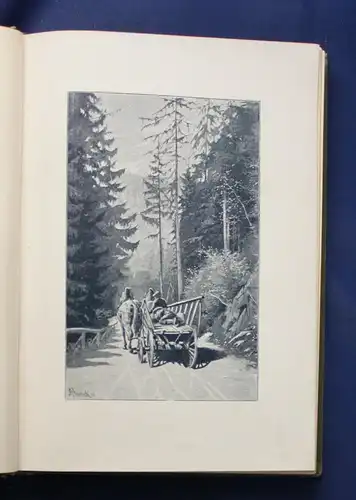 Rosegger Waldjugend Geschichten für junge Leute von 15 bis 70 Jahren 1898 EA js