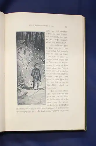 Rosegger Waldjugend Geschichten für junge Leute von 15 bis 70 Jahren 1898 EA js