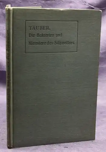 Täuber Die Bakterien und Kleintiere des Süßwassers 1909 Bilologie Naturwissen sf