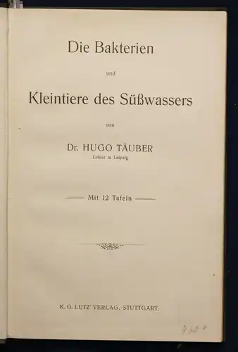 Täuber Die Bakterien und Kleintiere des Süßwassers 1909 Bilologie Naturwissen sf