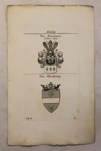 Kupferstich Wappen Familie Ritter von Wiebeking & Wildeisen 1825 Heraldik Bayern