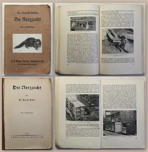 Keller Die Nerzzucht 1937 illustriert Tierzucht Tierhaltung Pflege Nerzpelz xz