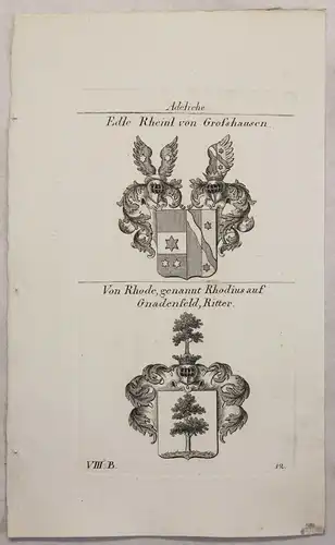 Kupferstich Wappen Familie Edle Rheinl & Von Rhode Rhodius 1825 Heraldik Bayern