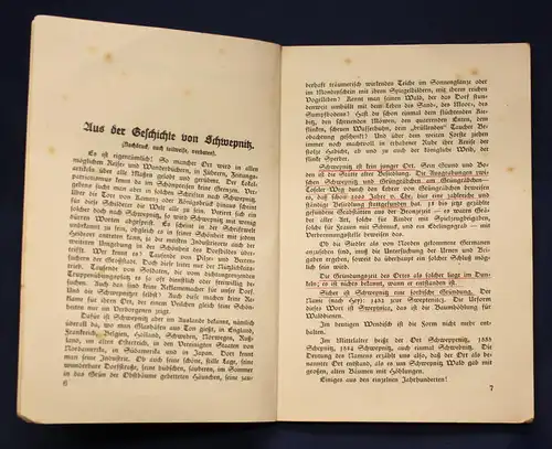 Festschrift zum 50 jährigen Bestehen des Turnvereins von 1877 Schwepnitz js