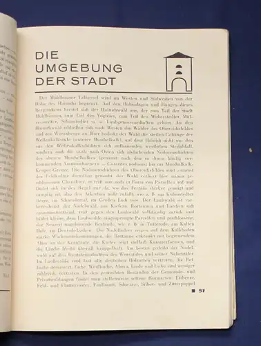 Führer durch das malerische Mühlhausen die alte Reichsstadt in Thüringen 1930 js