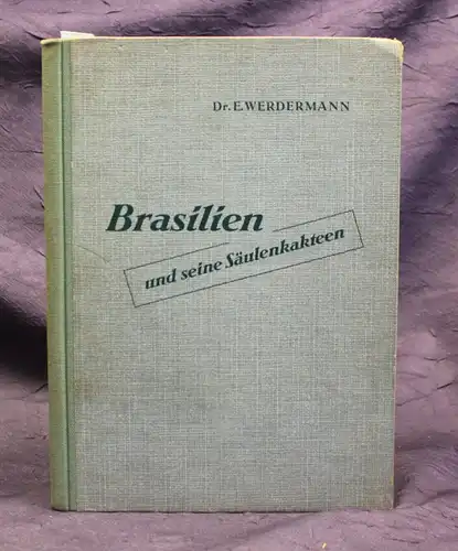 Werdermann Brasilien und eine Säulenkakteen 1933 Pflanzen Botanik Kaktus js