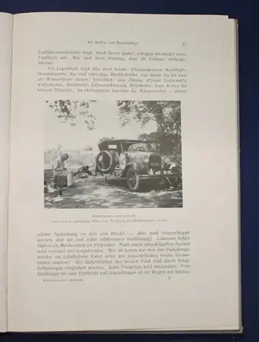 Werdermann Brasilien und eine Säulenkakteen 1933 Pflanzen Botanik Kaktus js