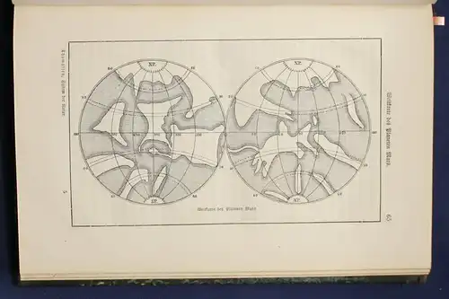 Thomassen Geschichte und System der Natur 1885 Wissen Naturwissen Entwicklung sf