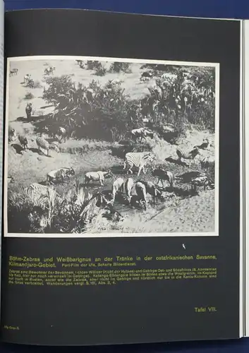 Klute Handbuch der geographischen Wissenschaften "Allgemeine Geographie" 1933 sf