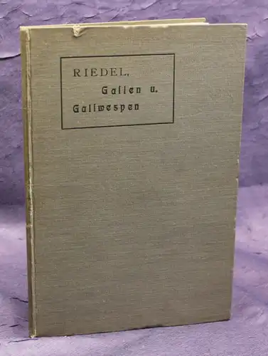 Riedel Gallen und Gallwespen Naturgeschichte 1910 100 Abb. auf 6 Tafeln js