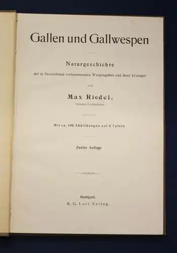 Riedel Gallen und Gallwespen Naturgeschichte 1910 100 Abb. auf 6 Tafeln js