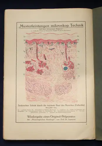 Donau Arbeitsmethoden der Mikrochemie/ Technik Mit 35 Abb. 1913 Elemente js