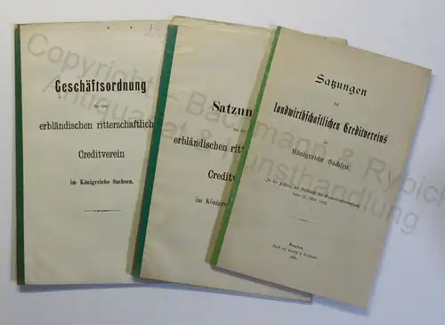 Konvolut 2x Satzung & 1x Geschäftsordnung Creditverein Sachsen 1899 & 1900 xz