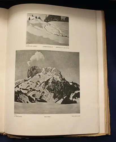 Rudolf Klein Ferdinand Hodler und die Schweizer Kunst Gemälde Kreativität js