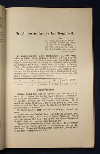 Stütze, Scholz Aus der Natur der Heimat Schülerbuch 1. Heft Ortskunde js