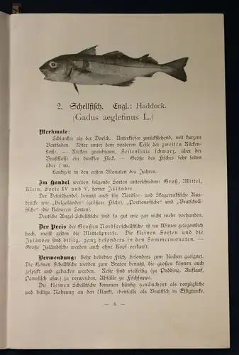 Henking Or. Broschur Seefisch- Bilderbuch für Haus und Schule Wissen O.J. js