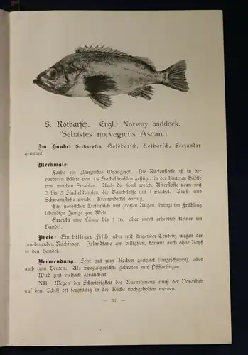 Henking Or. Broschur Seefisch- Bilderbuch für Haus und Schule Wissen O.J. js