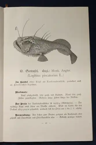 Henking Or. Broschur Seefisch- Bilderbuch für Haus und Schule Wissen O.J. js