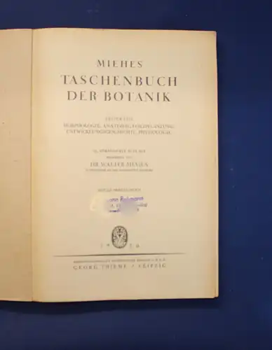 Miehe Taschenbuch der Botanik 2 Bde 1950 Morphologie Anatomie Physiologie js