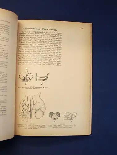 Miehe Taschenbuch der Botanik 2 Bde 1950 Morphologie Anatomie Physiologie js