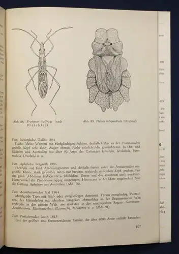 Jordan Landwanzen 1962 Naturwissenschaften Schädlinge Tiere Wissen Studium sf