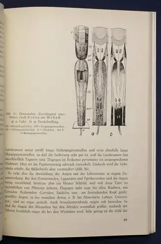 Jordan Landwanzen 1962 Naturwissenschaften Schädlinge Tiere Wissen Studium sf