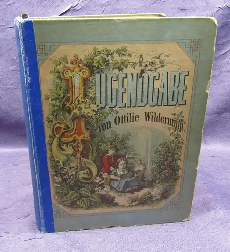 Wildermuth Jugendgabe um 1870 Mit 6 Stahlstichen Geschichten Erzählungen