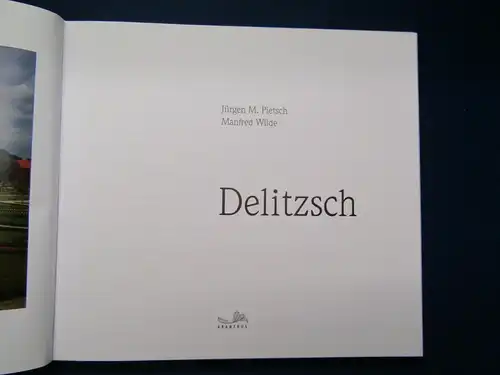 Pietsch, Wilde Delitzsch 2012 Stadtgeschichte Soziale Entwicklung Bauwerke js