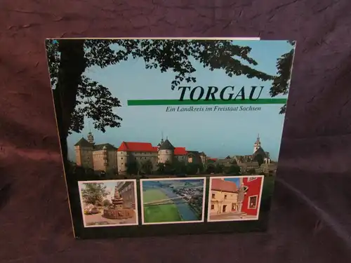 Torgau "Ein Landkreis im Freistaat Sachsen" 1993 Geschichte Ortskunde sf